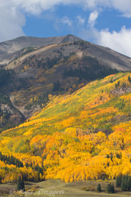 Fall Colors in the Rockies