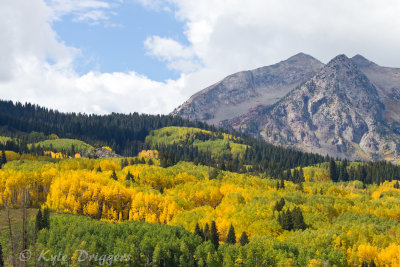 Fall Colors in the Rockies