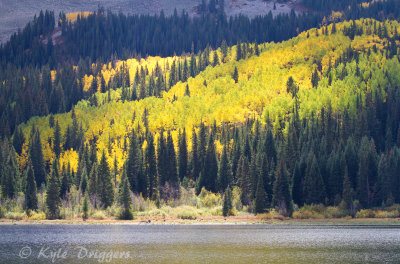 Kebler Pass