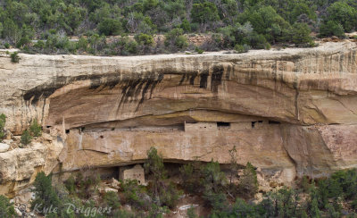 Mesa Verde National Park