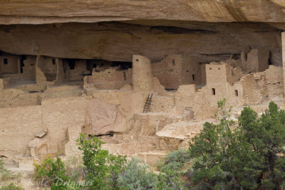 Mesa Verde National Park