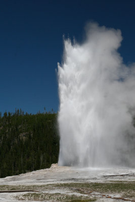 Yellowstone National Park