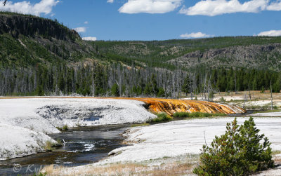 Yellowstone National Park