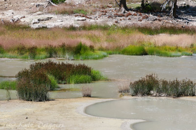 Yellowstone National Park