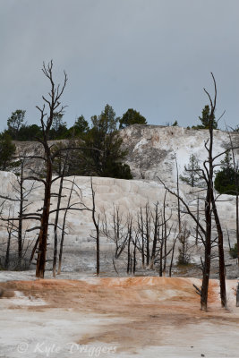 Yellowstone National Park