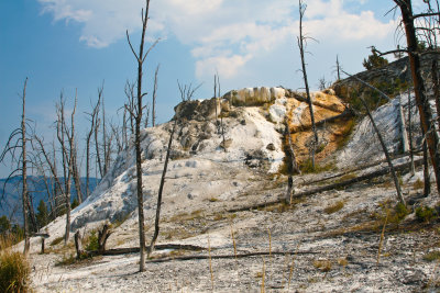 Yellowstone National Park
