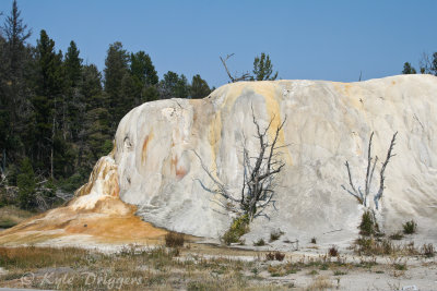 Yellowstone National Park