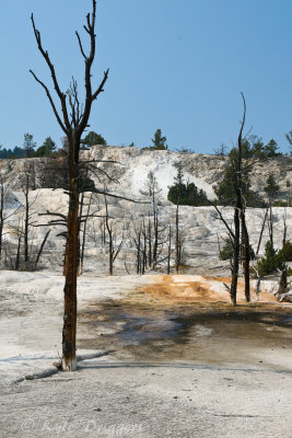 Yellowstone National Park