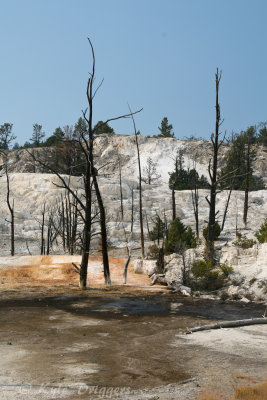 Yellowstone National Park