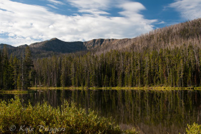 Yellowstone National Park