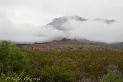 Big Bend National Park