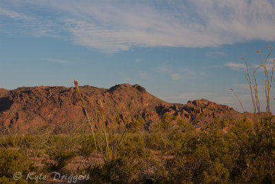 Big Bend National Park