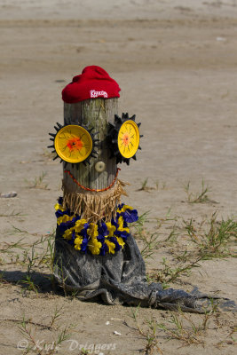 Port Aransas Beach Art