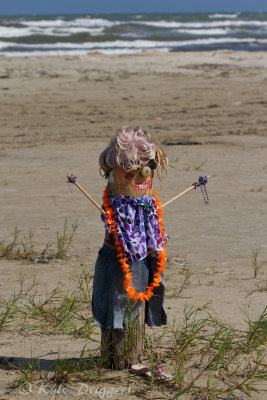 Port Aransas Beach Art