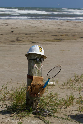 Port Aransas Beach Art