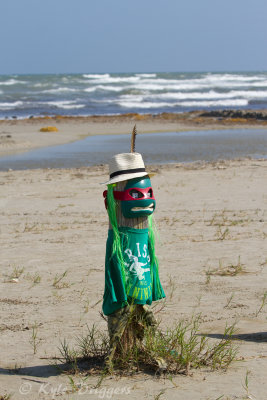Port Aransas Beach Art