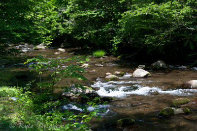 Great Smoky Mountains National Park