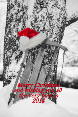 Merry Christmas to my wonderful PBase friends