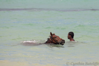 Horse and Rider Enjoying a Refreshing Swim