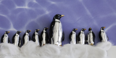 The March of The Penguins - An Almost True Story 