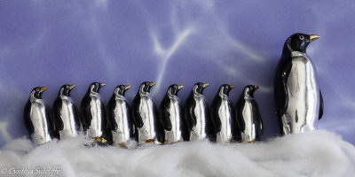 The March of The Penguins-6.jpg