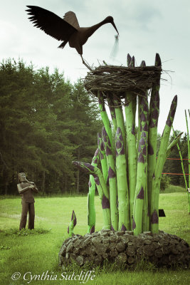  Asparagus Nest Series