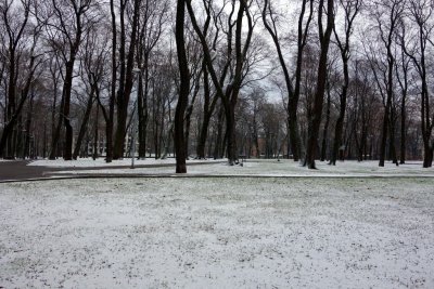 23.11.2015