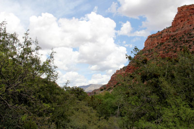 Sycamore Canyon (from the bottom)