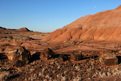 Early Morning in the Painted Desert