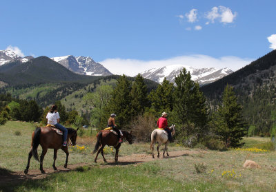 Horseback Riding in RMNP