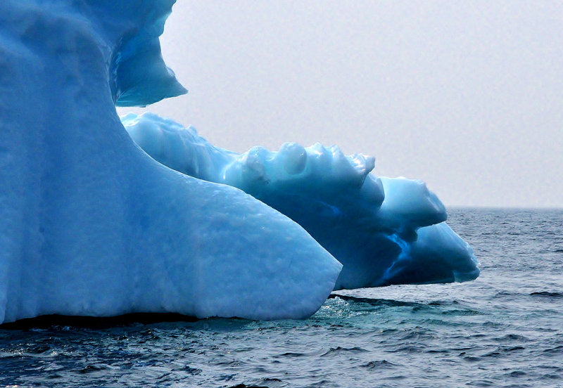 Newfoundland IcebergEd WiebeCelebration of Nature2013General