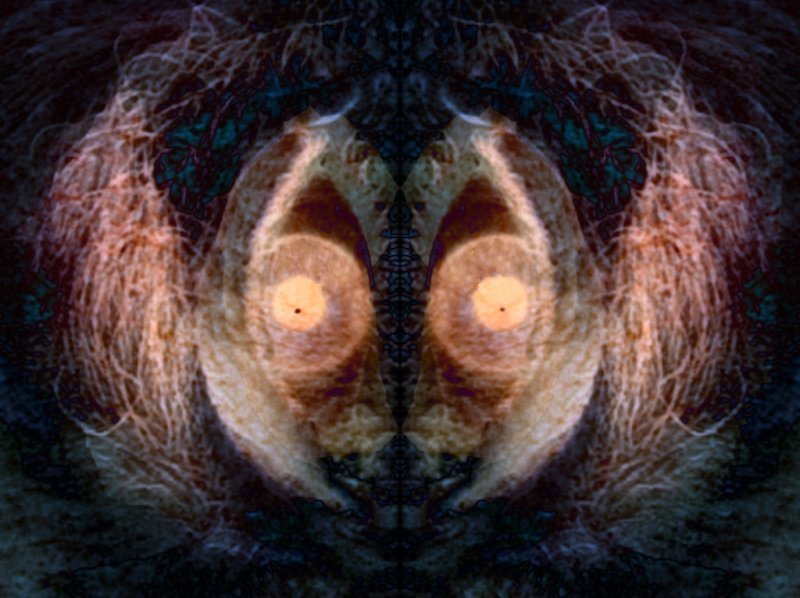 Alien Warrior - Cim MacDonald CAPA 2013 Competition Altered Reality: 19 points