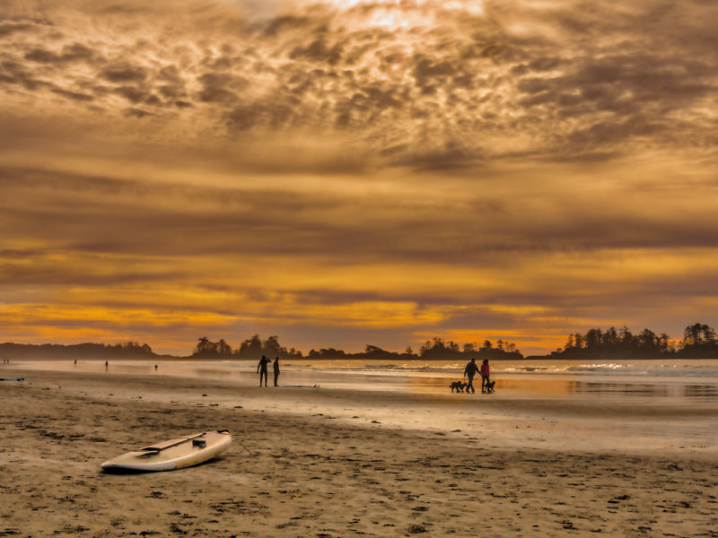 At The Beach - Sandra StewartCAPA 2014 - Nature/OpenOpen: 19 Points