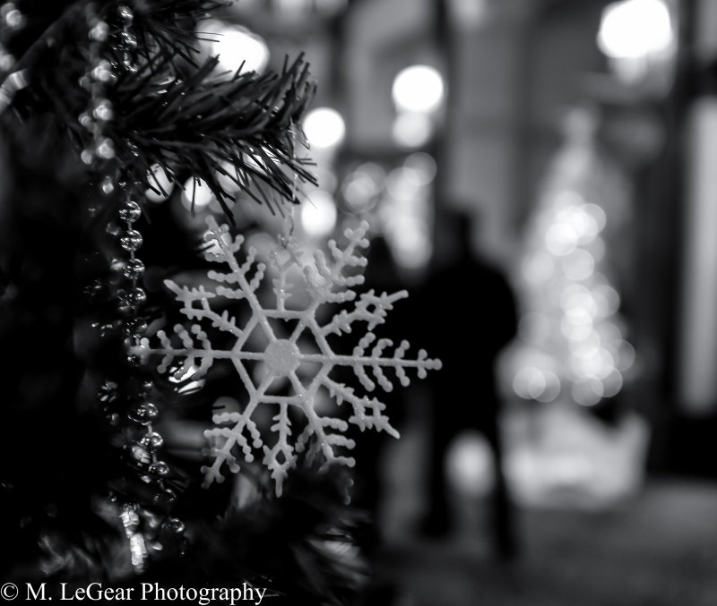 Mark LeGear<br>Snowflake Silhouette