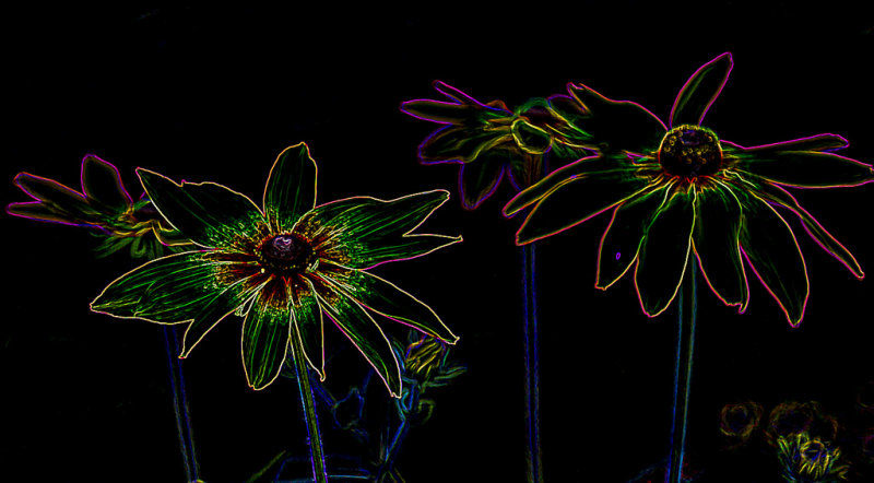 Neon Flowers - Lois DeEllCAPA 2015  Competition Altered Reality