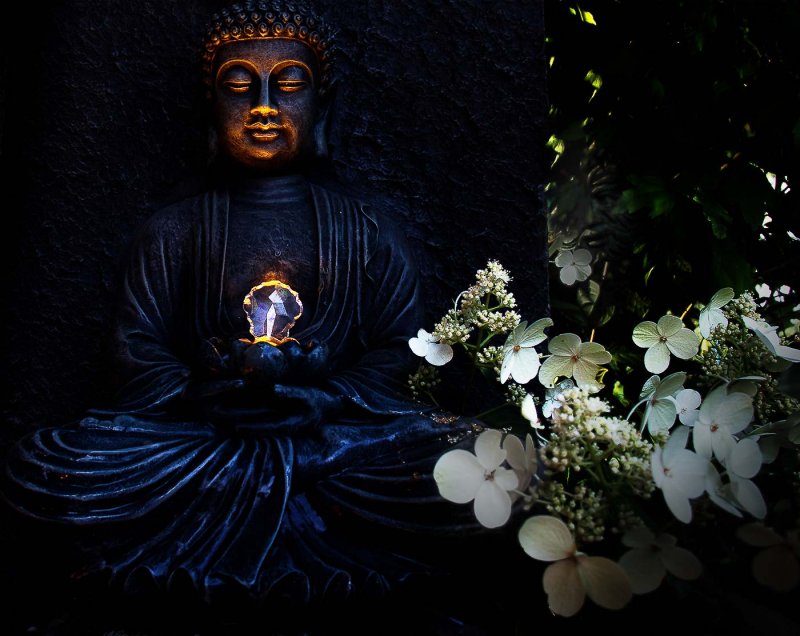 Zosia Miller2015 CAPA Theme LightThe Buddha's Light21  points