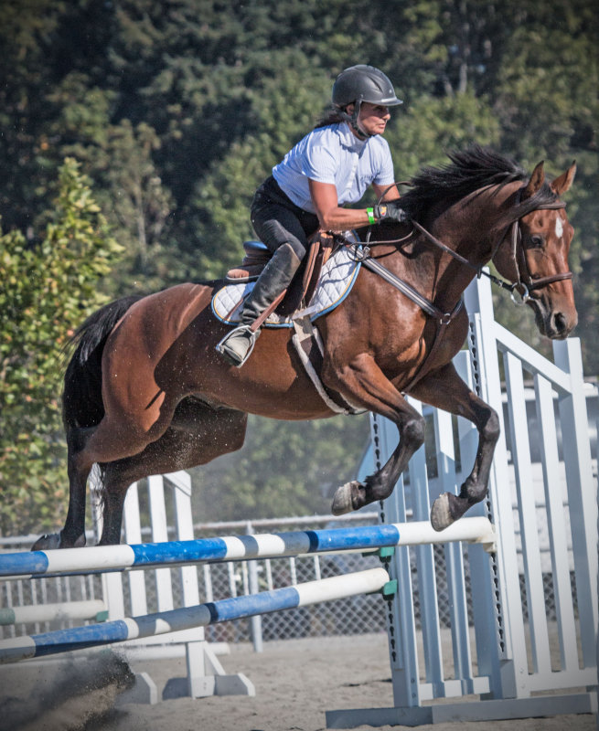 Jens L Horse-Jumping