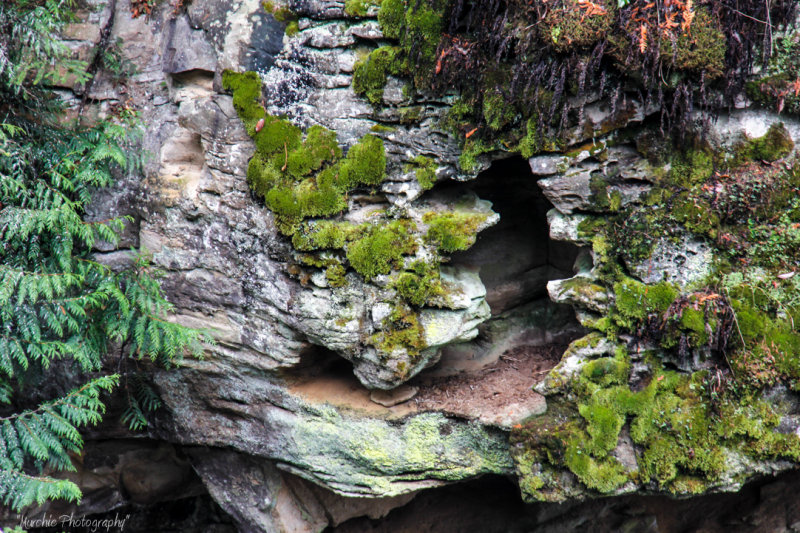Tom MurchieA hole in the rock