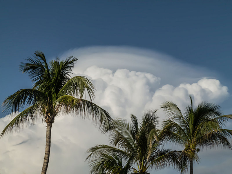 Tropical Cloudscape - Katelyn WillsCAPA 2015  Minimal Manipulation