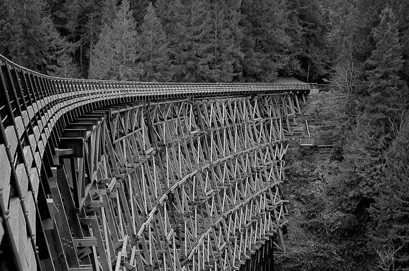 Kinsol Trestle - Marjorie Cahill - CAPA 2016 Pacific Zone Print Competition - Points: 22