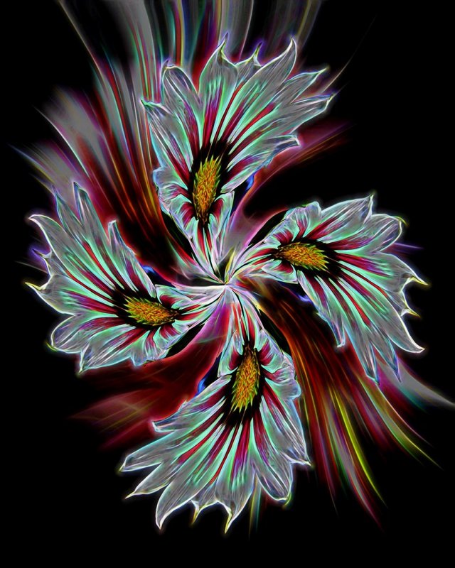 Flower Dance-Nancy OliverCAPA 2016 Altered RealityCompetitionr