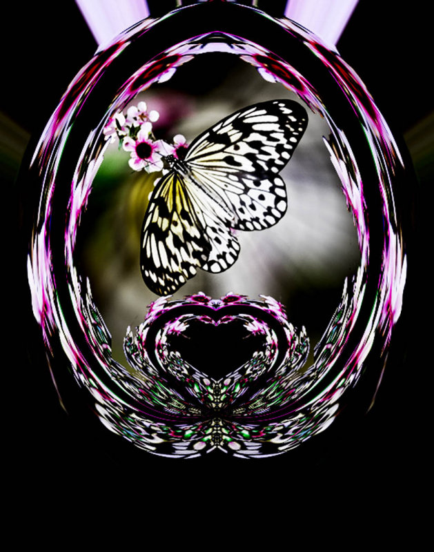 Butterfly Locket-Nancy OliverCAPA 2016 Altered RealityCompetition