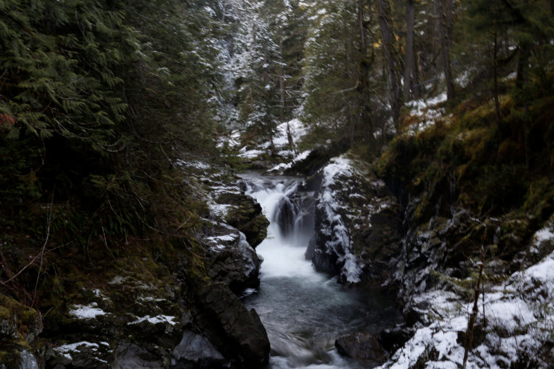 Little Qualicum Falls - January 15, 2017