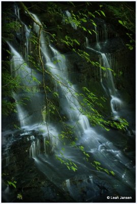* Colliery Dam Park, Nanaimo: July 27, 2013