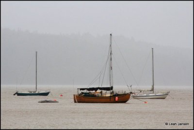 g9/54/364954/3/154096636.gvUOBpH0.jpg