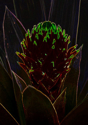 g9/54/364954/3/154870297.NoB9zlsr.jpg