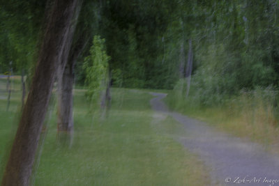  Zosia Miller<br>2013 Theme Challenge-Landscape<br>Cowichan River Walk