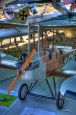 * Arthur P 2014 Gallery