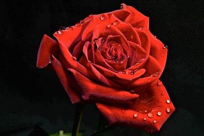 g9/54/364954/3/158229655.AAwTiFBj.jpg