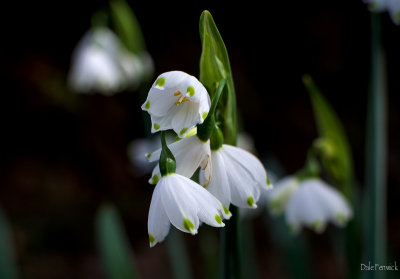 g9/54/364954/3/159259057.n5fbafjP.jpg